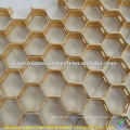 Carbon Steel 0Cr13 Tortoise Shell Net (usine)